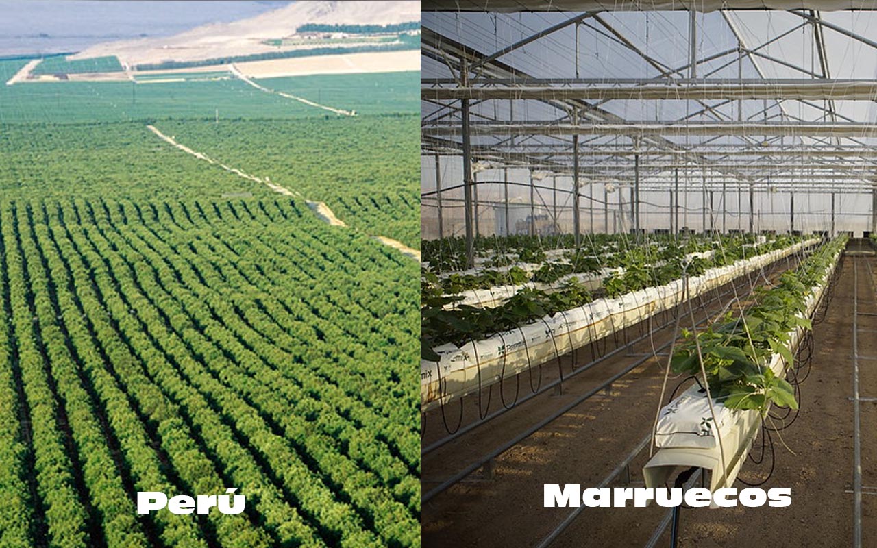 Campo agrícolas de Perú y Marruecos