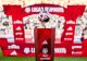 liga 1